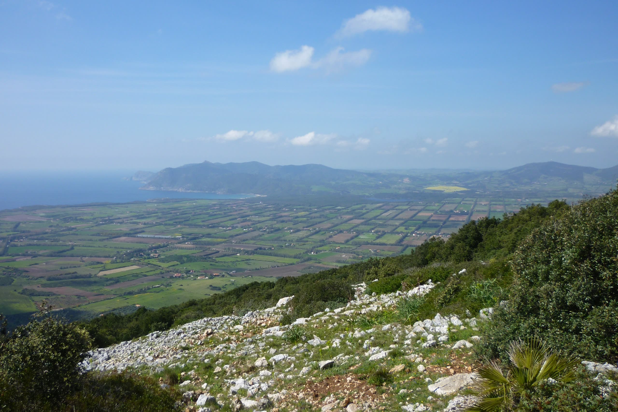 The Nurra plain seen from the slope of Monte Doglia: white limestone and maquis in the foreground, farmland below, the sea and a headland beyond.