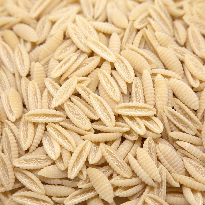 Dried malloreddus, ridged semolina shells, filling the frame