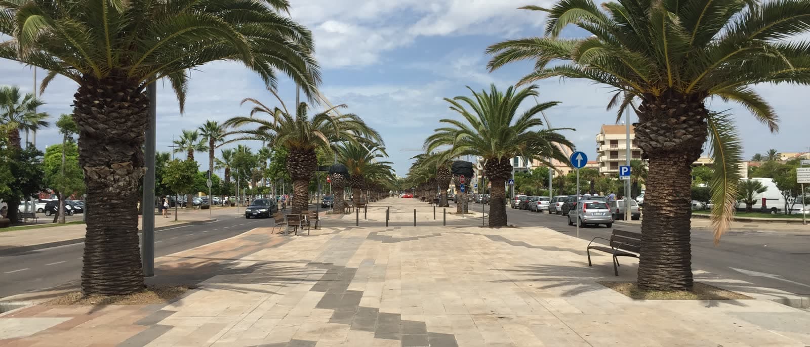 The palm-lined seafront promenade in Alghero, with the cycle path running along it.