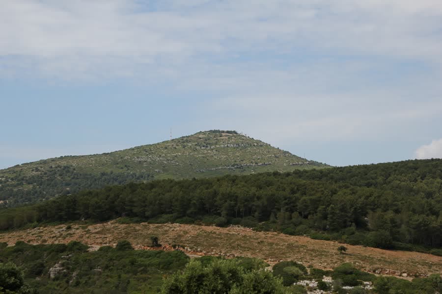 The rounded summit of Monte Doglia above a dark belt of forest and maquis.
