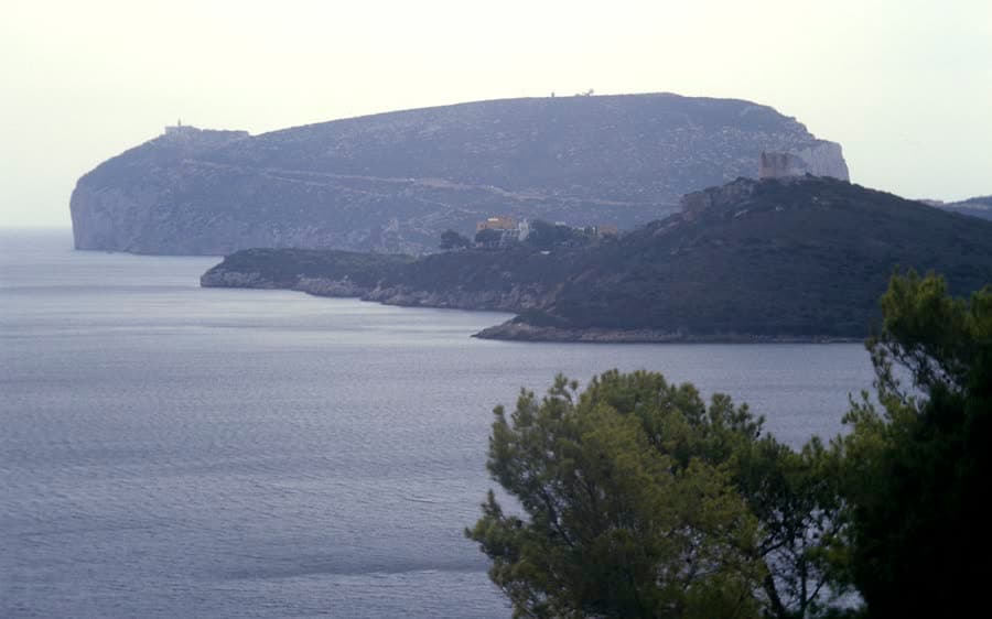Die weite Bucht von Porto Conte, gesehen von den Klippen des Capo Caccia