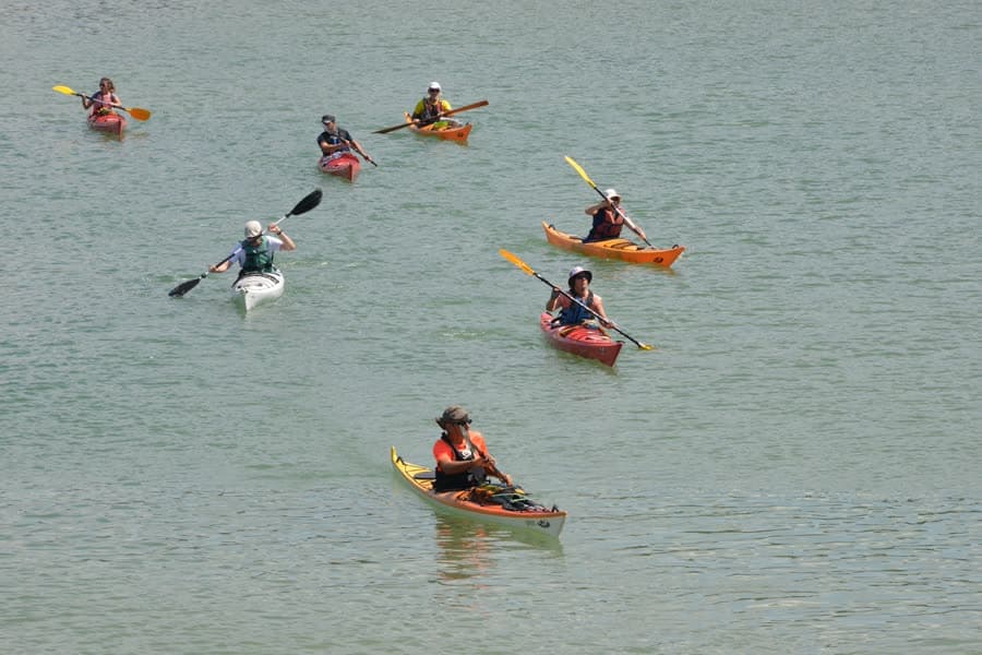 A group of sea kayaks paddling in formation across calm water.